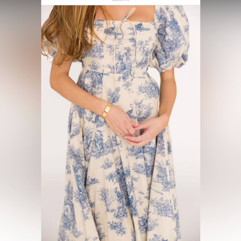 Worth Collective Toile blue puff sleeves dress M NWT Mary Elizabeth